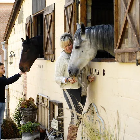 Domaine Bayard